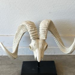 Faux Big Horn Ram Sheep Skull with Stand