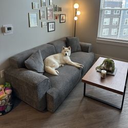 Grey Sofa 