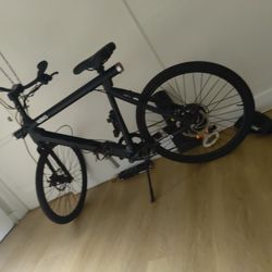 Non Working Ebike Wing 