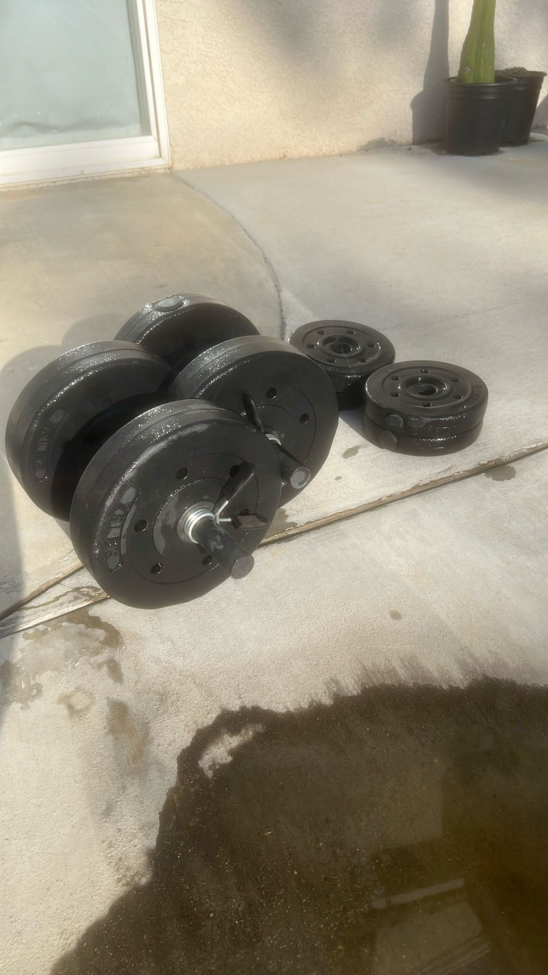 Weight Set With Curl Bars