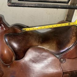 Horse Western Saddle