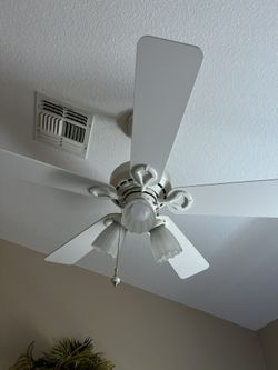 Ceiling fan 