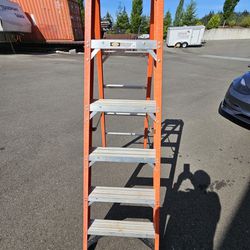Werner 1A Ladder