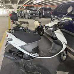 White Buddy Moped For Sale 