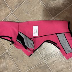 Dog Jogging Suit