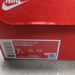 Nike Dunk Low Michigans Size 7