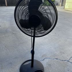 Nice Tall Black fan