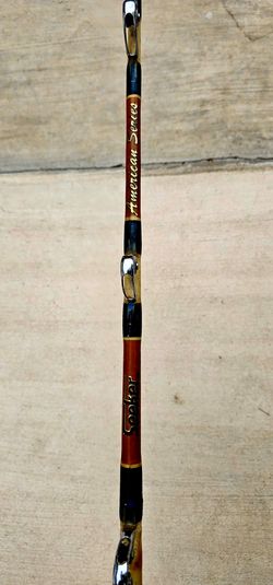 Seeker American Series Fishing Rod