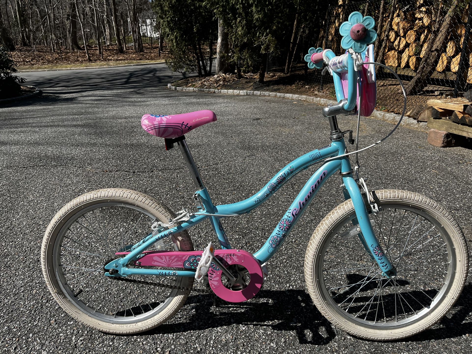 20 Inch Girl’s Bicycle