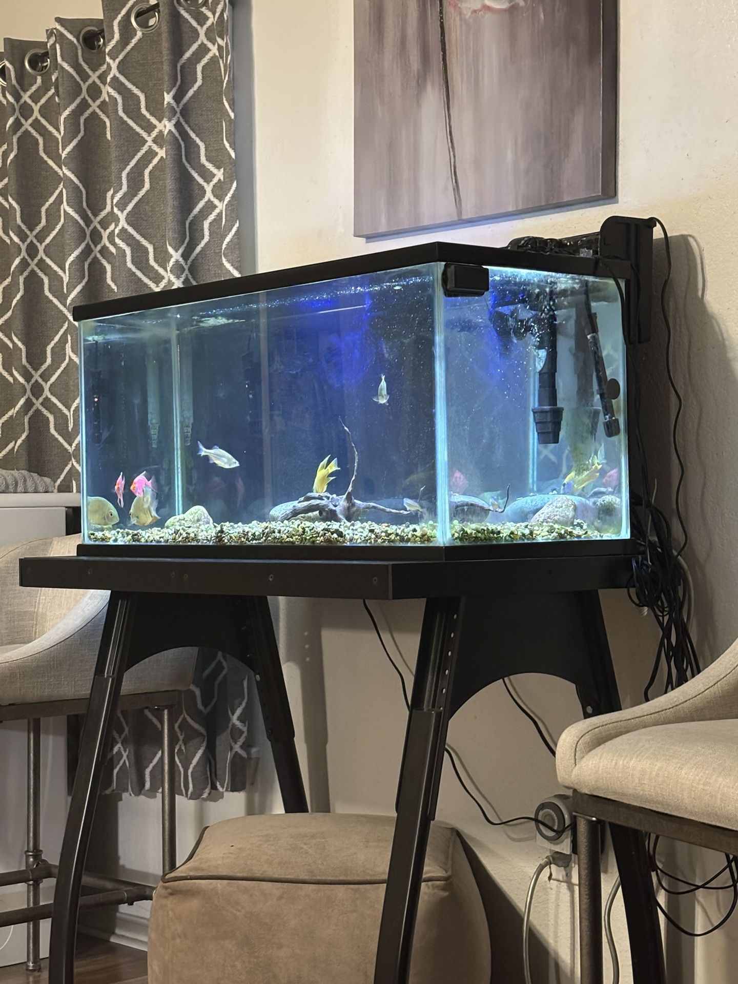 40g Aquarium Parts