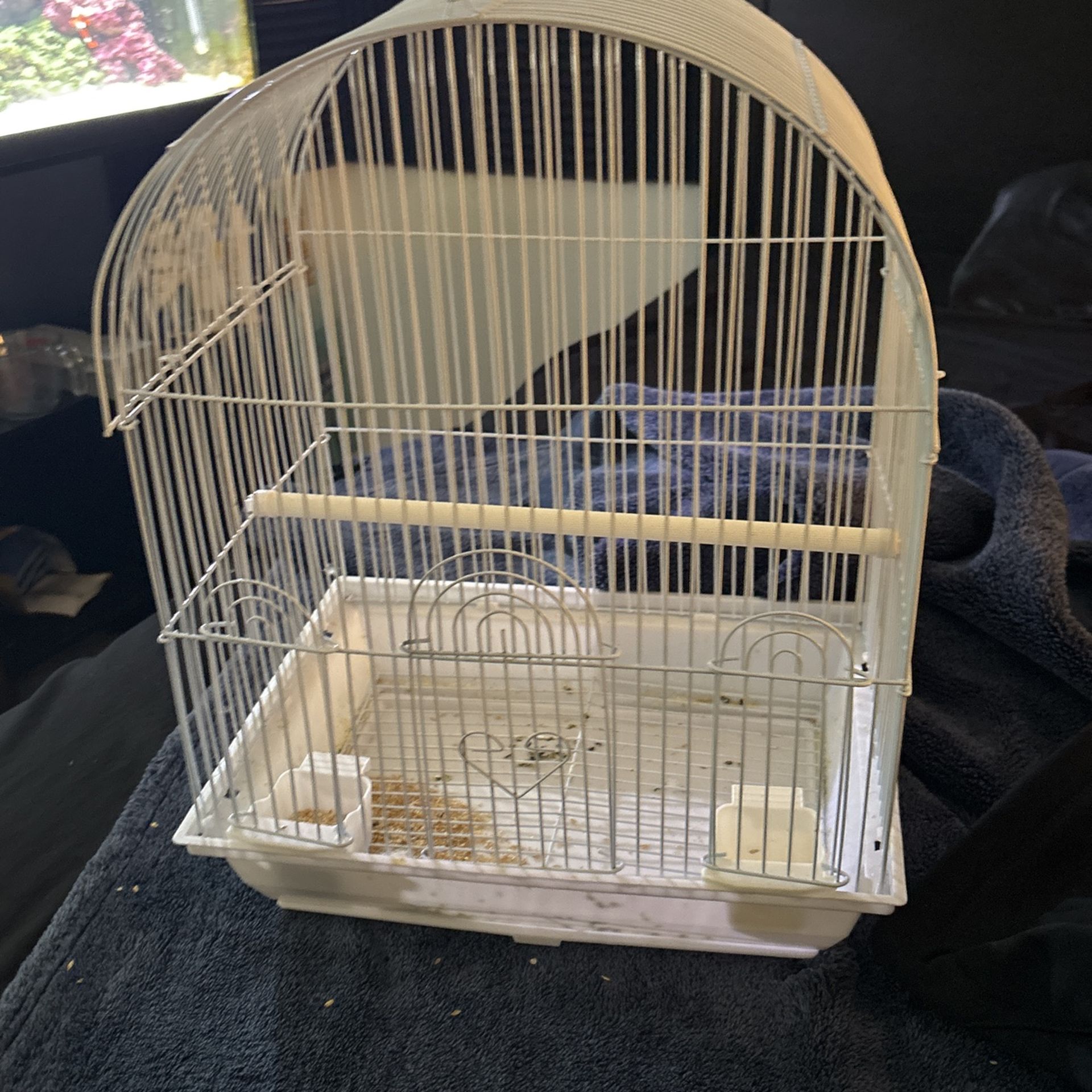 Bird Cage