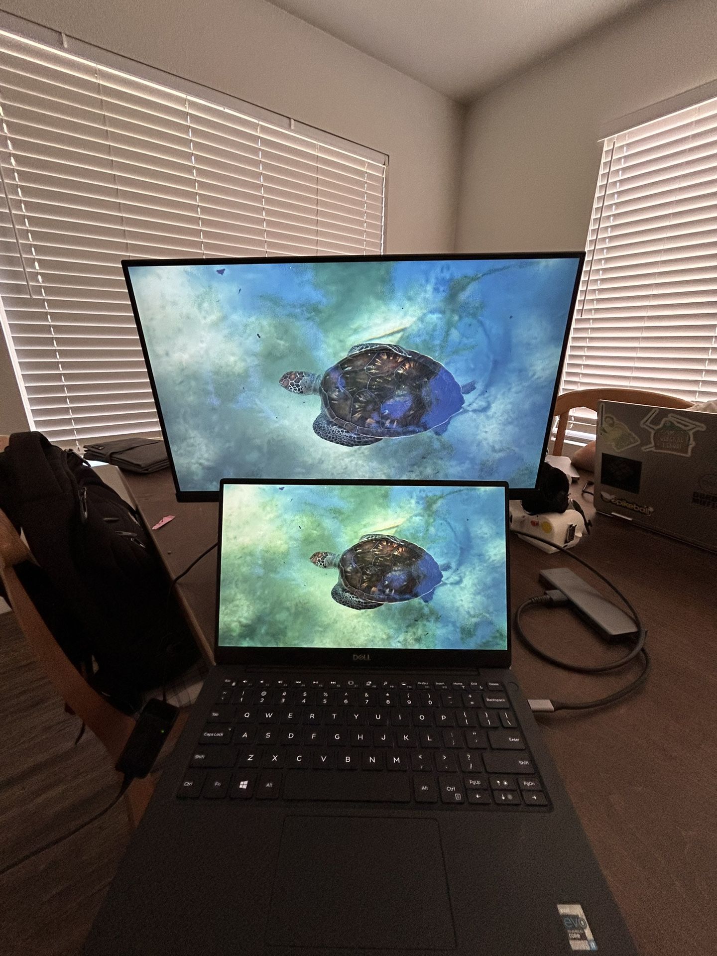 24” Gaming Monitor