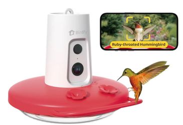 Birdy Smart Hummingbird Feeder