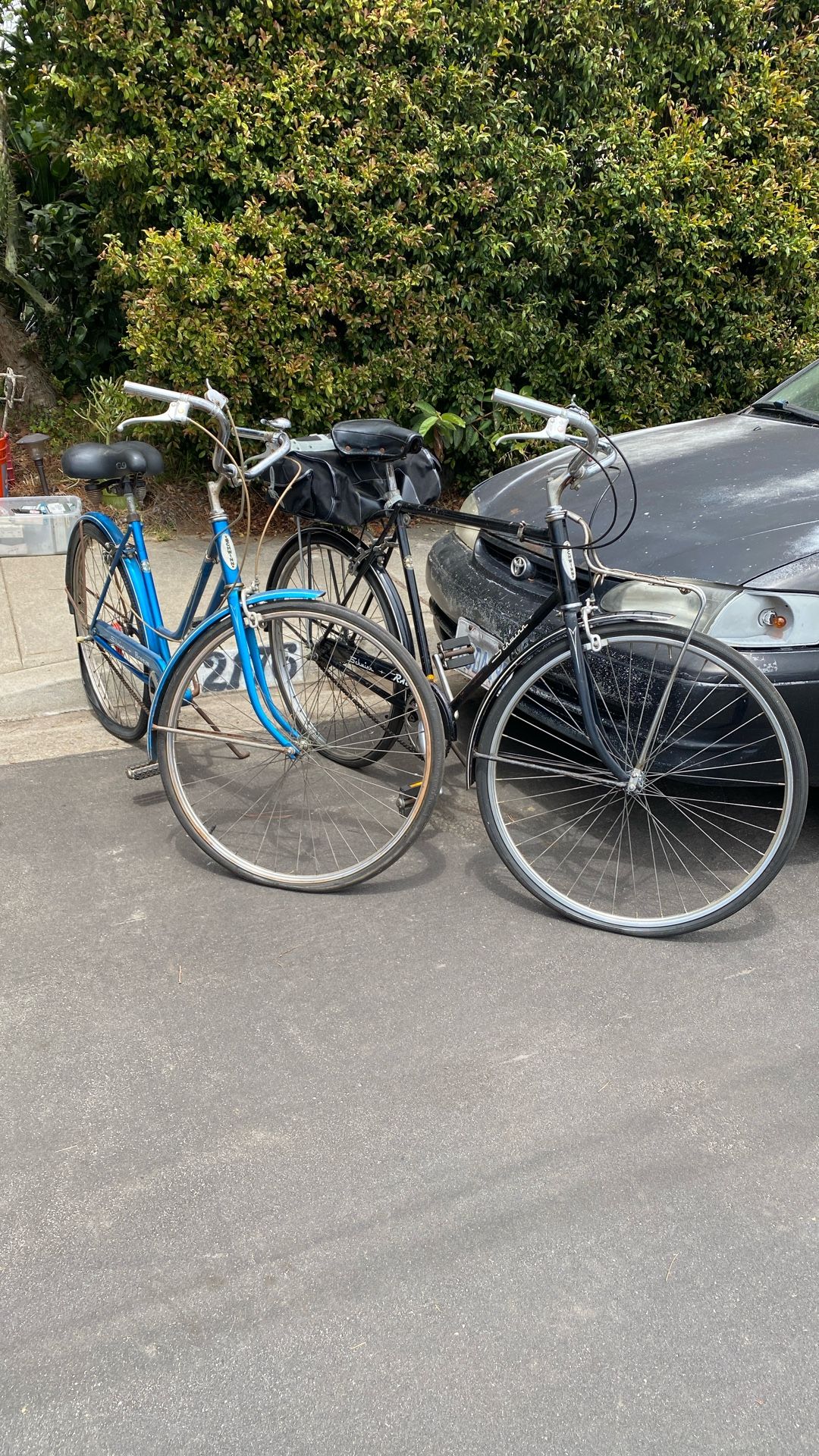 Schwinn Bike