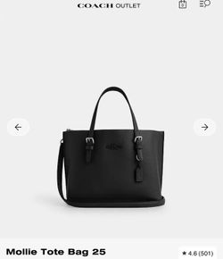 Coach Mollie Tote Bag 25