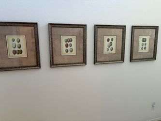 Set of 4 Framed Bird Egg Botanical Prints