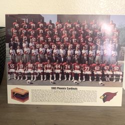 1993 ARIZONA CARDINALS TEAM PICTURE 
