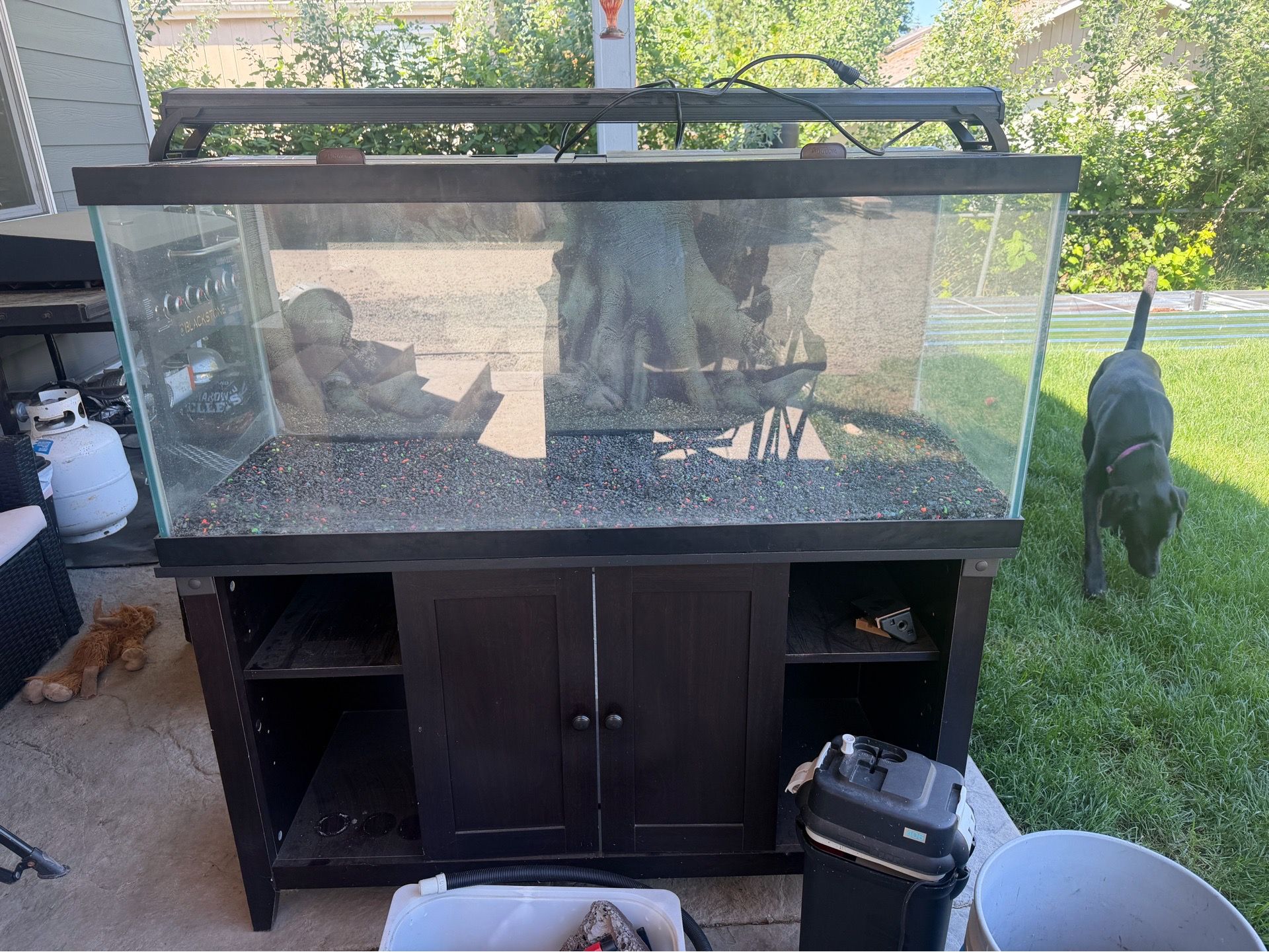 75 gallon tank with stand, light, filter and extras