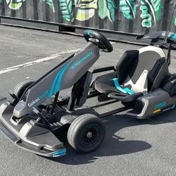 Segway Ninebot Gokart Pro 2