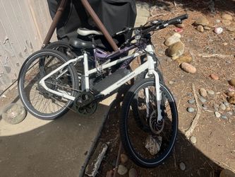 RAD POWER BIKE