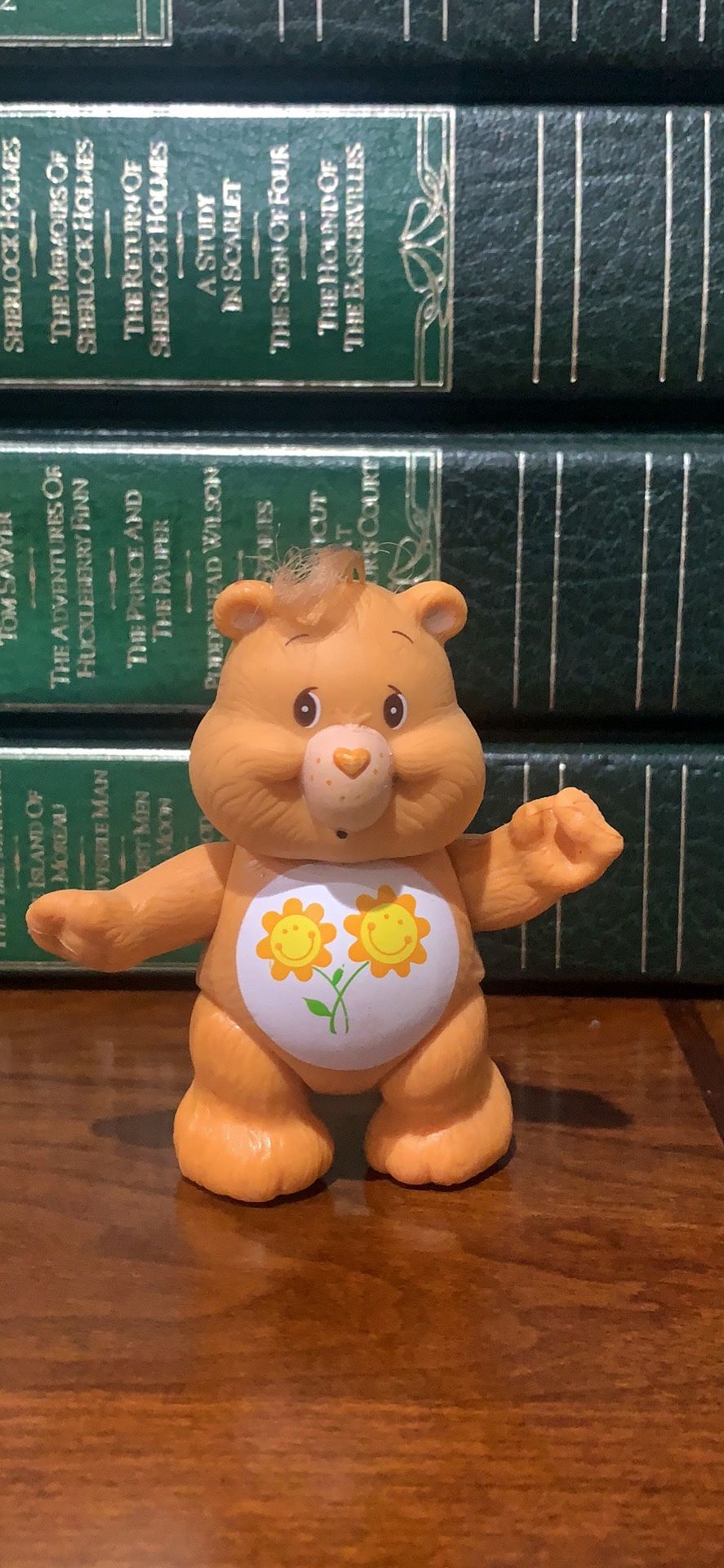 Vintage Care Bears Friendship Bear
