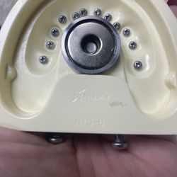 Pedo Typodont (dentistry- Dental)