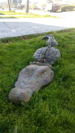 Garden crocodile