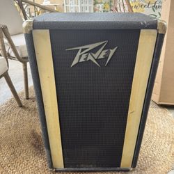 Peavy Speaker