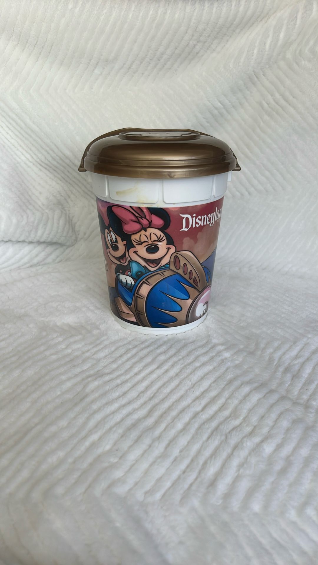 Disney Popcorn Bucket