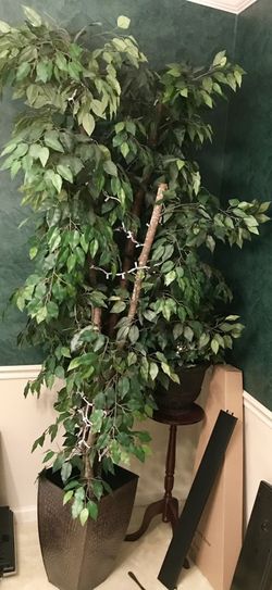 8' Tree & beautiful vase