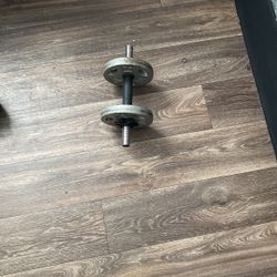 15 lb dumbbell