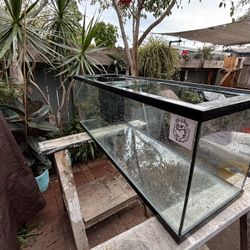 50-65 Gallon Fish Aquarium With Sump And Pluming 