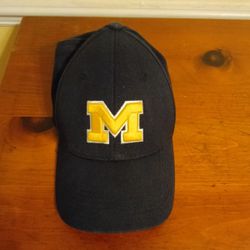 University Of Michigan Football Camp Home Version