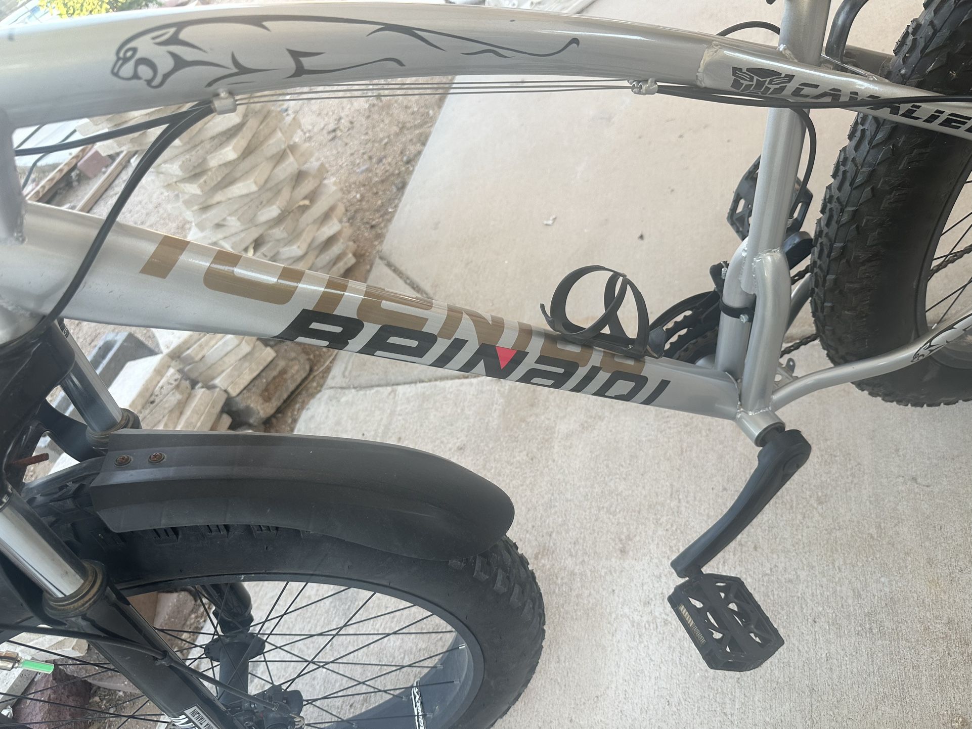 Fat Tires Bike