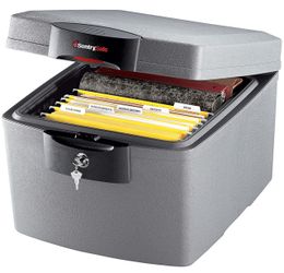 Sentry Safe Model #H3100