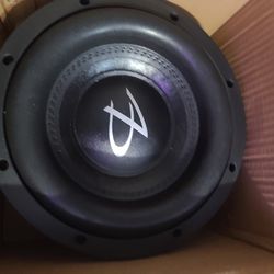 10 inch sub