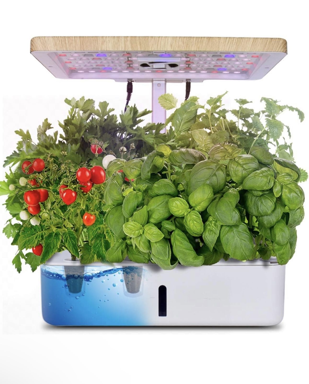 moistenland Hydroponics Growing System, Indoor Herb Garden Starter Kit, LED Grow Light, Plant Germination Kits 12 Plant Pods for Home Kitchen Gardenin