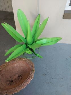 🥰🪴Beautiful Metal Aloe Vera Plant ! In Jacksonville  Florida! Area Westsidade 32205!