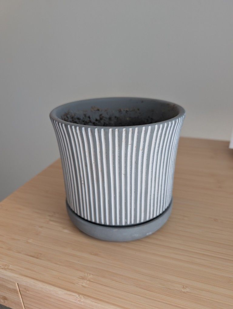 Small Plant Pot