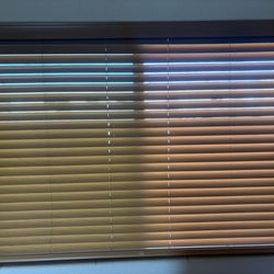 Levolor Blinds