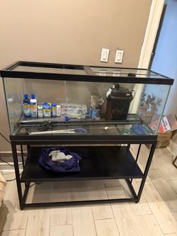 75 gallon fish tank setup