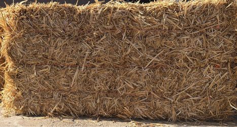 Hay