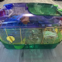 Hamster Cage, Accessories, And Food