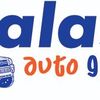 Salas Auto Group Inc