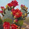 😊 🌵