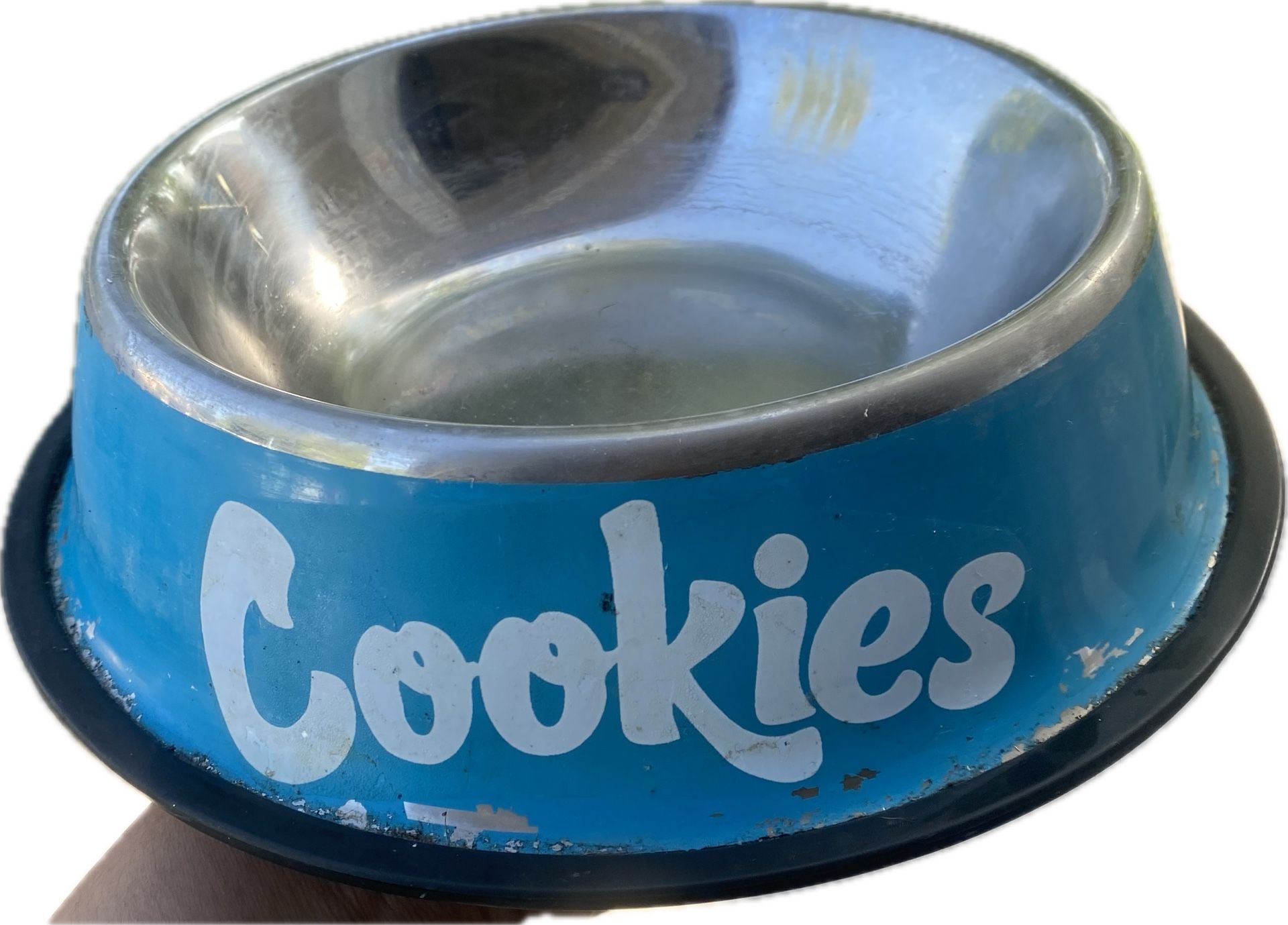 Cookies SF Dog Bowl Used Berner Blue