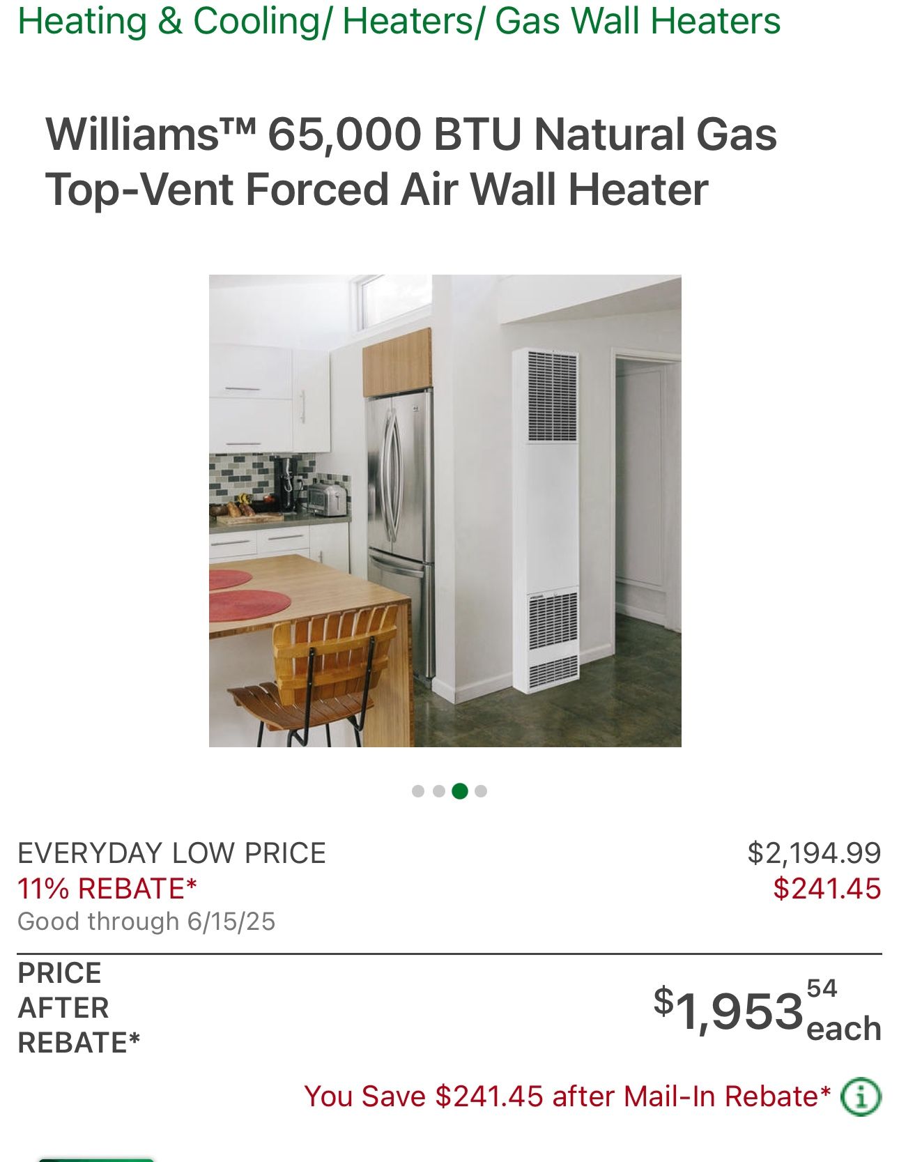 Williamsâ„¢ 65,000 BTU Natural Gas Top-Vent Forced Air Wall Heater