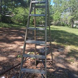 Aluminum step ladder