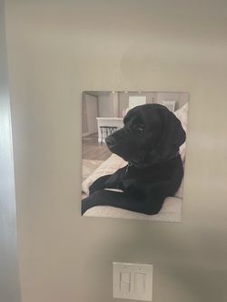 Custom Pet Photo Canvas Wall Print
