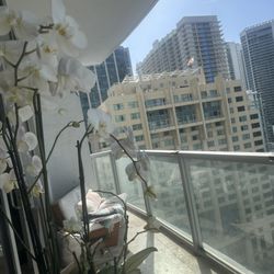 Balcony Couch